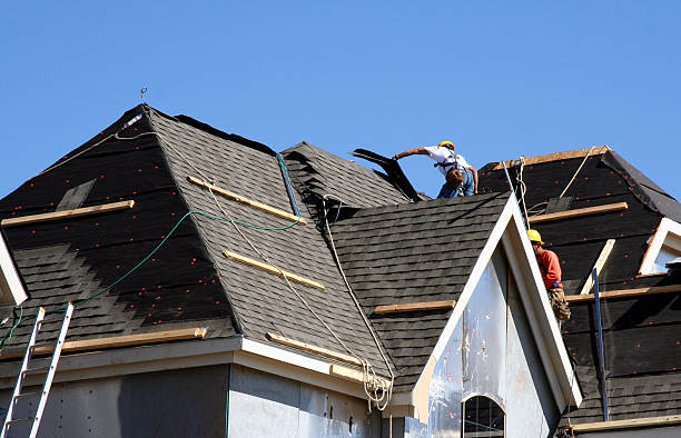 Best Shingle Roofing Installation  in Rose, LA