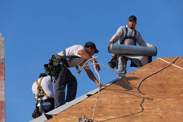 Best Roof Maintenance Services  in Rose, LA