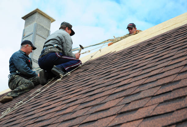 Best Roof Waterproofing Services  in Rose, LA